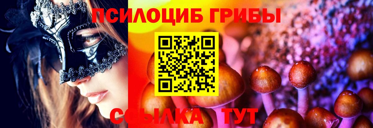 Псилоцибиновые грибы прущие грибы Ржев